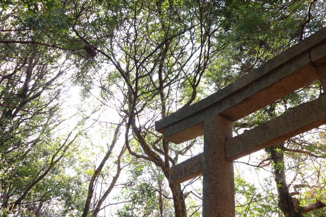 神社の鳥居